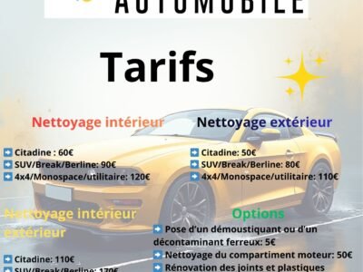 Nettoyage intérieur et/ou extérieur de véhicules