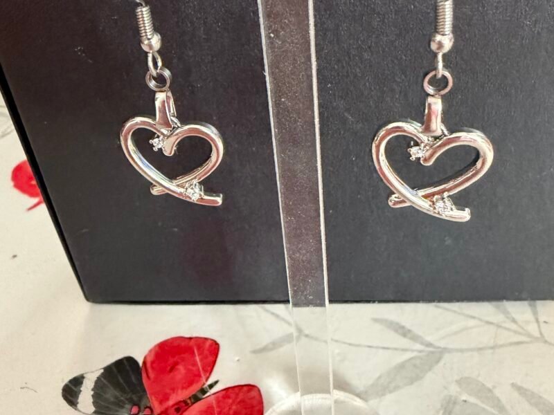 Les boucles d oreilles