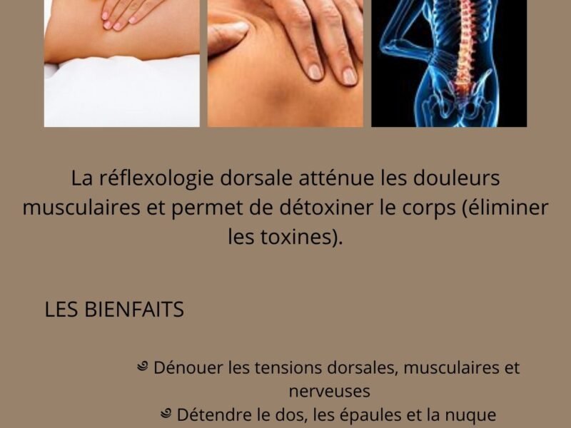 Praticien en Techniques Chinoises