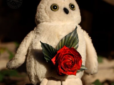 Les Créations d'un Caillou - Un chaos créatif haut en couleurs