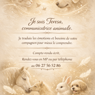 teresaclement5@hotmail.com