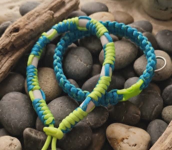 Collier paracorde pour chien