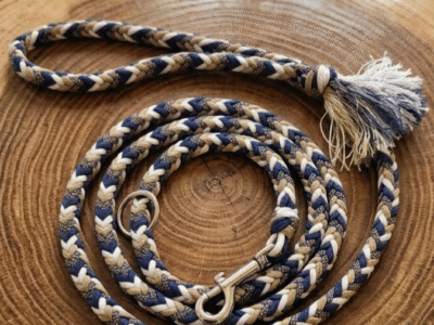 Laisse pour chien en paracorde fait main