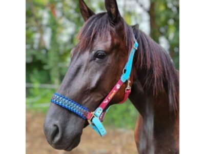 Canihorse - créatrice d'équipement équin et canin en biothane