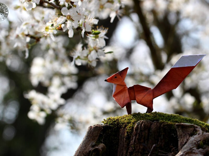 Les Créations d'un Caillou - Un chaos créatif haut en couleurs